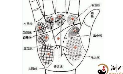 手纹论，手相基础知识