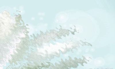 塔罗奥义每周生肖运势【2016.10.24-10.30】