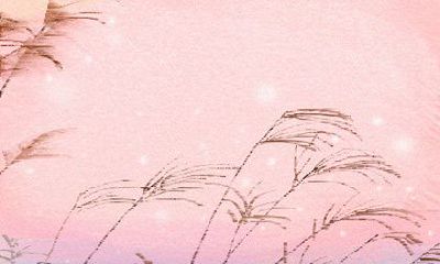 属狗人2017年7月整体运势