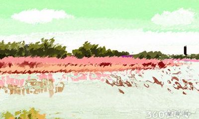 罗镇老师2017年5月生肖龙运势