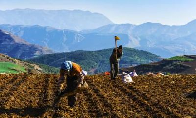 2019年宝宝免费八字五行起名100分