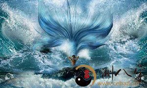 梦见美人鱼与我讲话