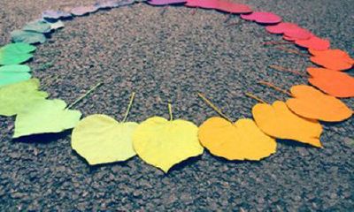 女孩起名小妙招