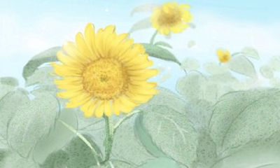 属猴人2017年6月整体运势