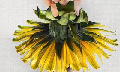 以人生追求取名的名字