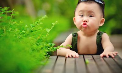 美辞在取名中的应用