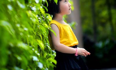 典故取名需要注意的一些事项