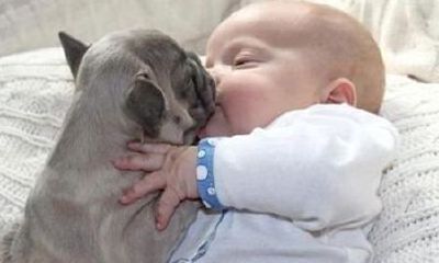 婴儿起名如何选择字义