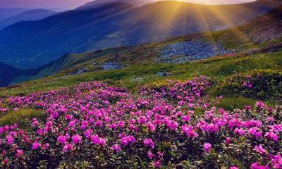 涂姓之人名字大全