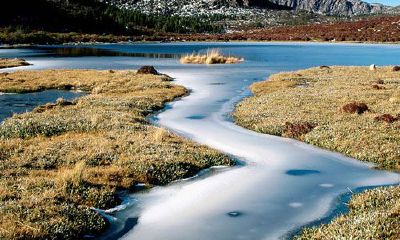 汝姓之人名字大全