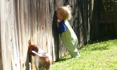 常见的重名名字