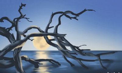 熊神进每周生肖运势【2016.10.24-10.30】