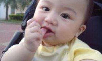 怎么用四季和节气为孩子起名？