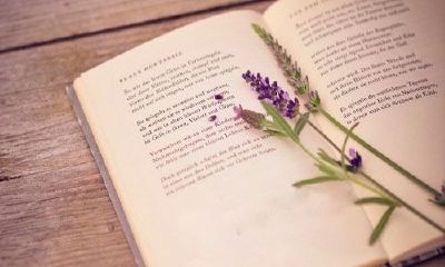 取两字名字为啥不好