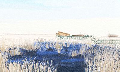 属虎人2017年7月整体运势