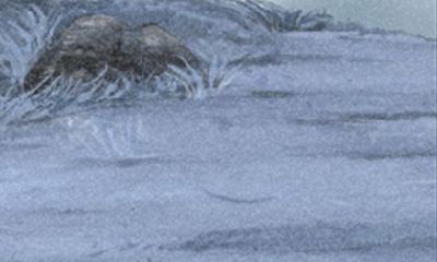 塔罗奥义每周生肖运势【2016.5.16-5.22】