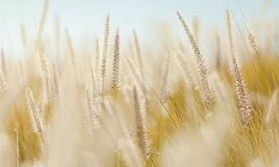 2018年11月27日出生孩子名字怎么取，宝宝五行缺啥？