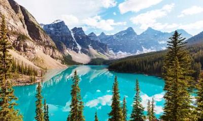 2018年下元节出生的女孩五行缺木名字推荐，下元节出生的是鬼胎吗？