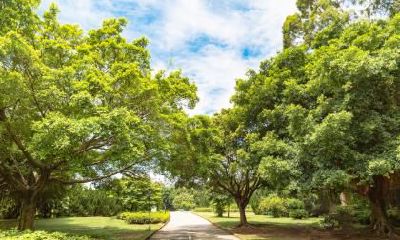 2018年下元节出生男孩五行缺火名字推荐，缺火有什么影响吗？