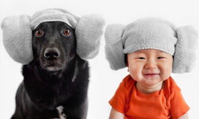 最新出炉的章姓宝宝名字