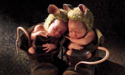 最新出炉的龙姓宝宝名字