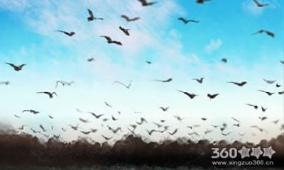 易祈文化每周生肖运势【2016.8.15-8.21】