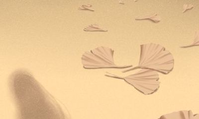 泓翔老师2017年5月属狗感情运势