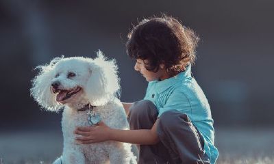 最新出炉的陆姓宝宝名字