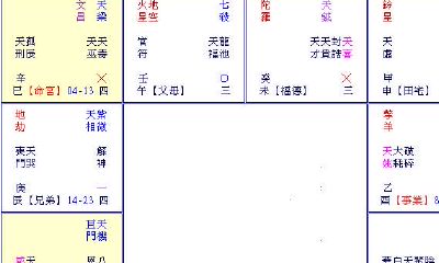 紫微斗数断例（五）