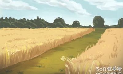 杨清华每周生肖运势【2016.10.24-10.30】