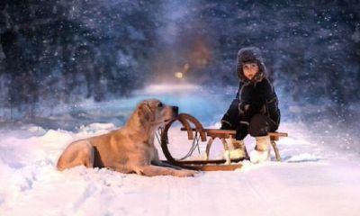 最新出炉的崔姓宝宝名字