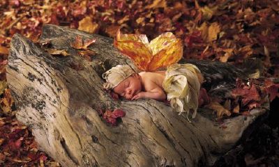 最新出炉的邹姓宝宝名字