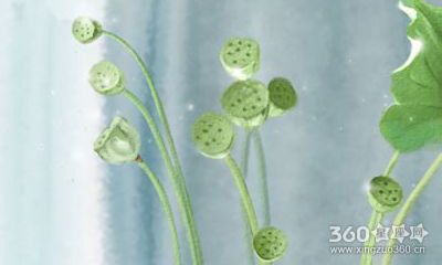 郑博士每周生肖运势【2016.8.1-8.7】