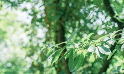 2022年下半年阳历的安床吉日好日子精选