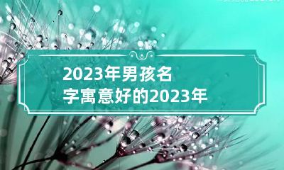 2023年男孩名字寓意好的 2023年男孩名字寓意好的名字姓陆