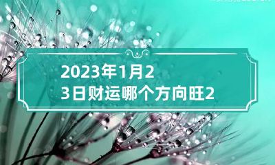 2023年1月23日财运哪个方向旺 2023年1月23日属什么