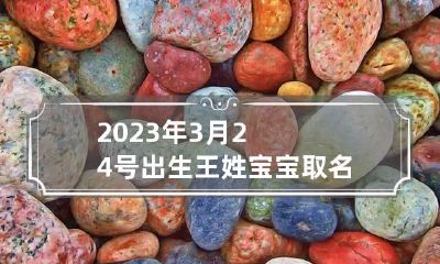 2023年3月24号出生王姓宝宝取名叫什么 2023年3月24号生孩子的姓名