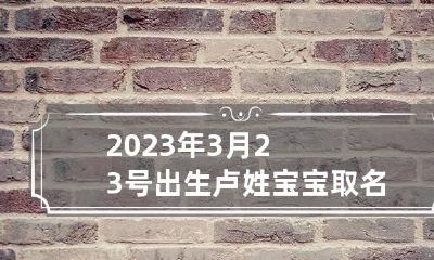 2023年3月23号出生卢姓宝宝取名叫什么