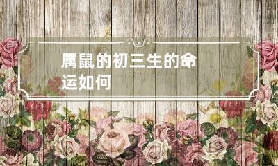 属鼠的初三生的命运如何