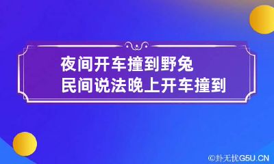 夜间开车撞到野兔民间说法 晚上开车撞到野兔子会怎么样