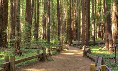 2020年8月25日七夕出生五行缺金的女宝宝名字大全