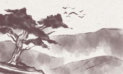 46岁属兔女的运气 75年属兔女2021年婚姻运势