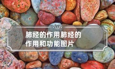 肺经的作用 肺经的作用和功能图片