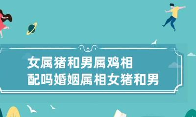 女属猪和男属鸡相配吗婚姻 属相女猪和男鸡相配吗
