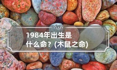 1984年出生是什么命？(木鼠之命) 1984年金命木鼠是什么意思