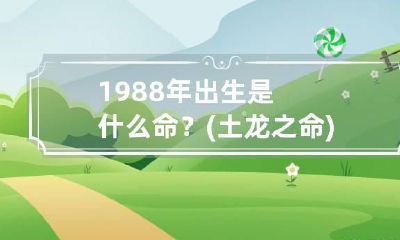 1988年出生是什么命？(土龙之命) 1988年出生的是土命吗