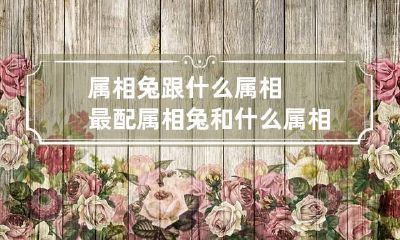 属相兔跟什么属相最配 属相兔和什么属相最相配