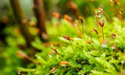 2022年壬寅年农历九月黄道吉日，九月还有什么别称？