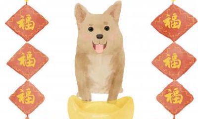 2018狗年宝宝取名大全免费