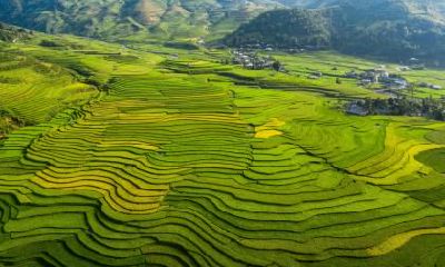 2018年11月5日出生女孩如何起名？缺哪个五行属性？